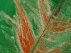 24-outstretched-detail
